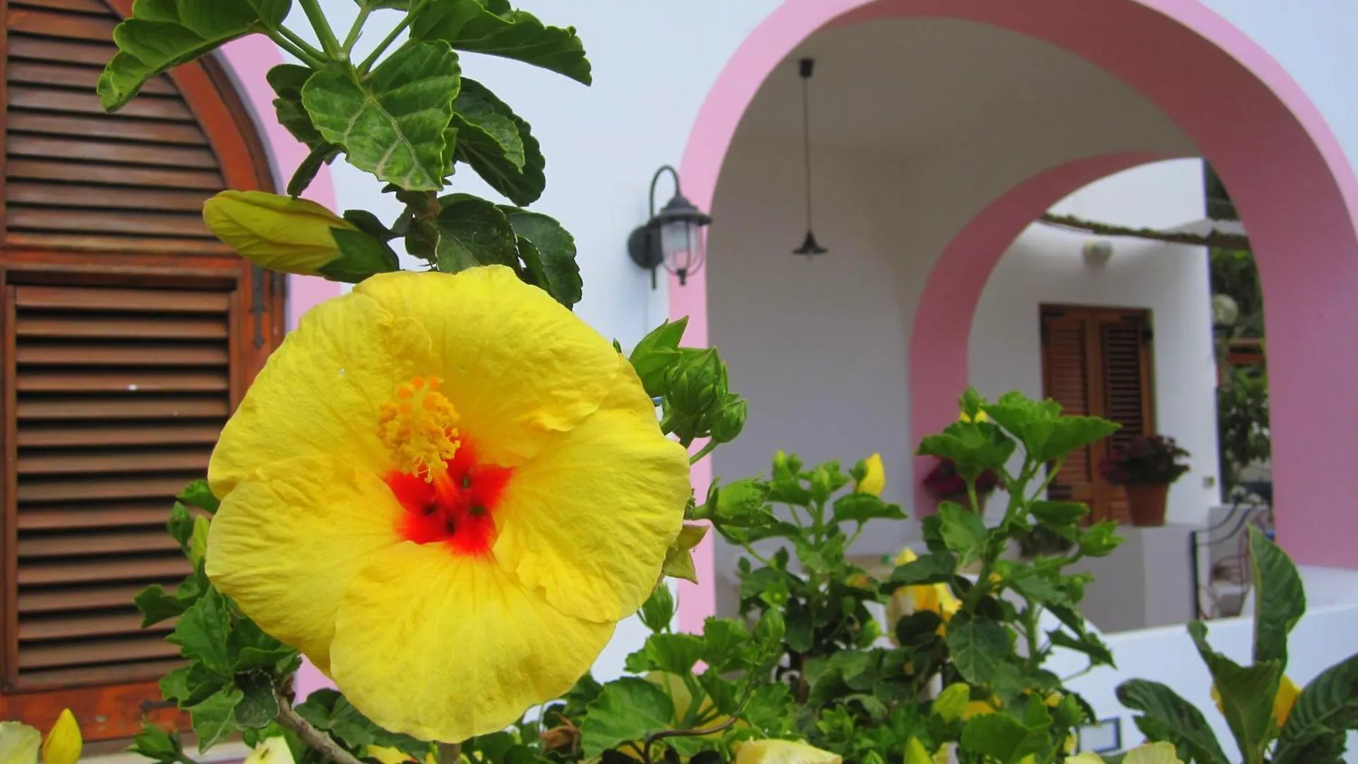 Guest house Villa Rosa Lipari